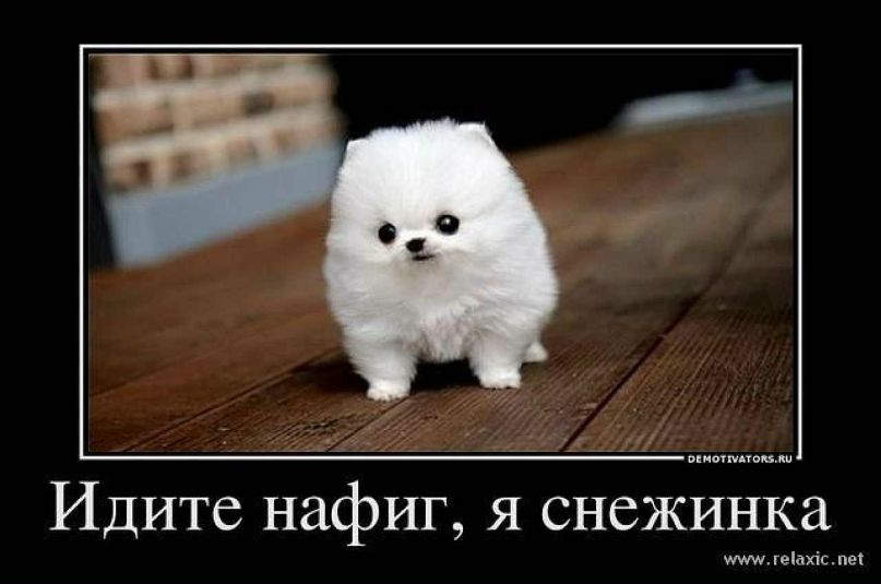 Татьяна Шатрова | Москва