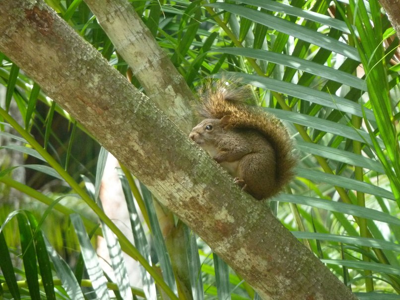 Элен Голдберг | Москва