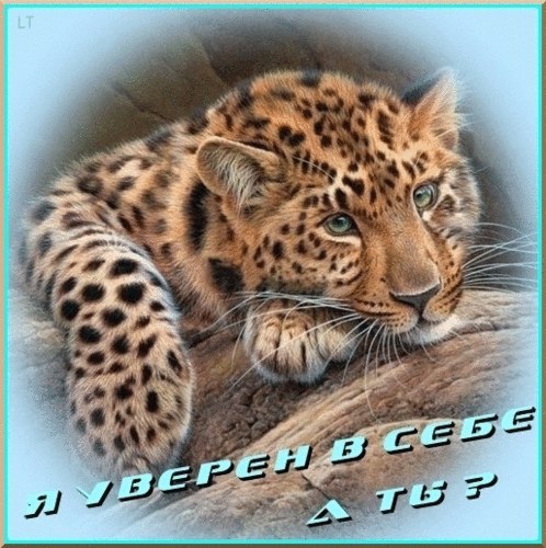 Сергей Иванов | Краснодар