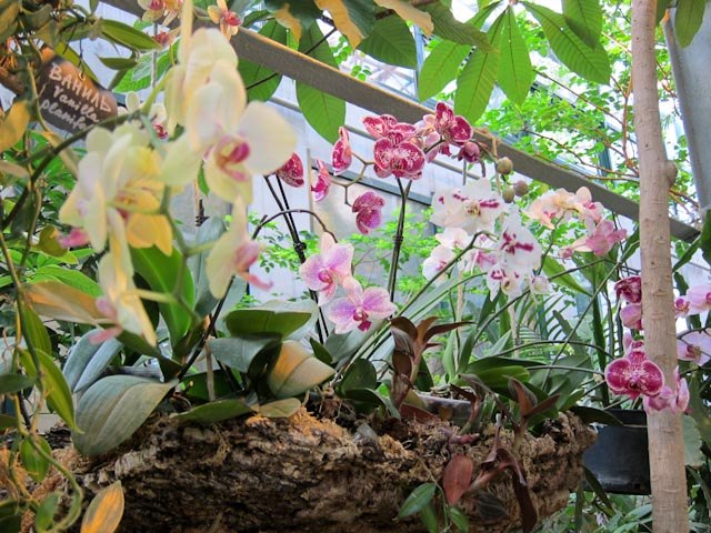 Анастасия Цветкова | Москва