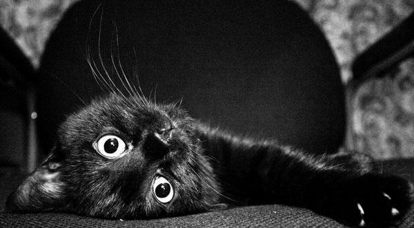 Кристина Брук-Лактюшина | Москва