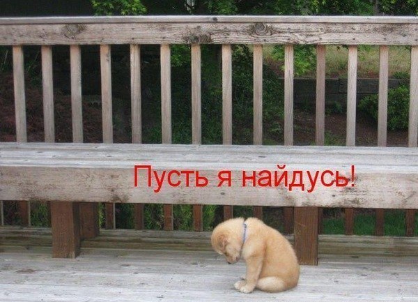 Ксения Ромодина | Иваново