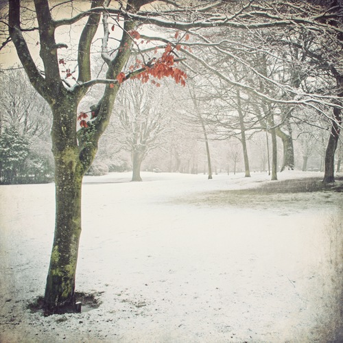 №16, Оля Штепин, 33 года, Хайфа №16, Оля Штепин, 33 года, Хайфа