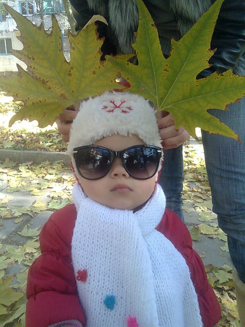 Ольга Шахмартова | Саки