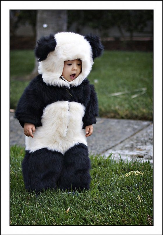 Сафие Максутова | Симферополь