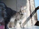 №37 Татьяна Авдеева 15.02.1991: профиль, фото, статус - ВКонтакте
