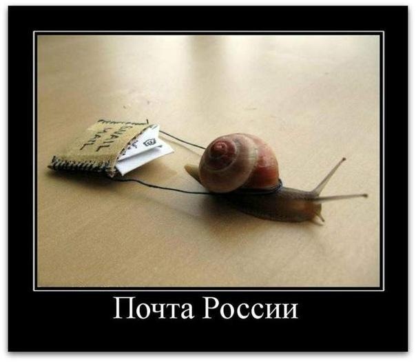 №95, Надежда Ульянова, Пушкин №95, Надежда Ульянова, Пушкин