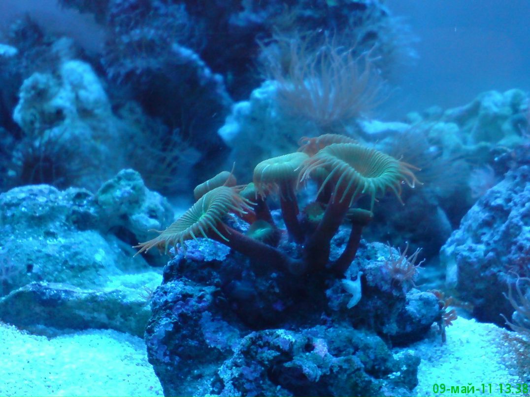 Вадим Кудин | Николаев