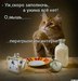 Татьяна Ипатова фотография #47