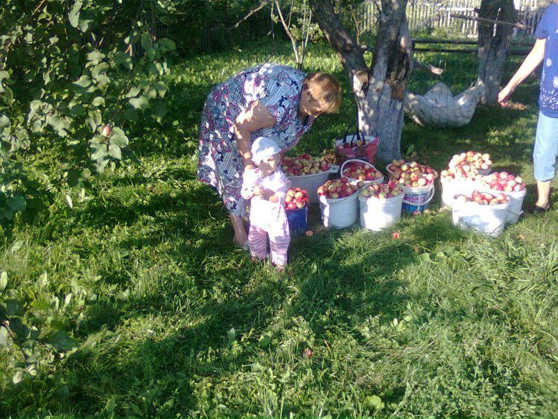 №2, Людмила Никитина, Советский №2, Людмила Никитина, Советский