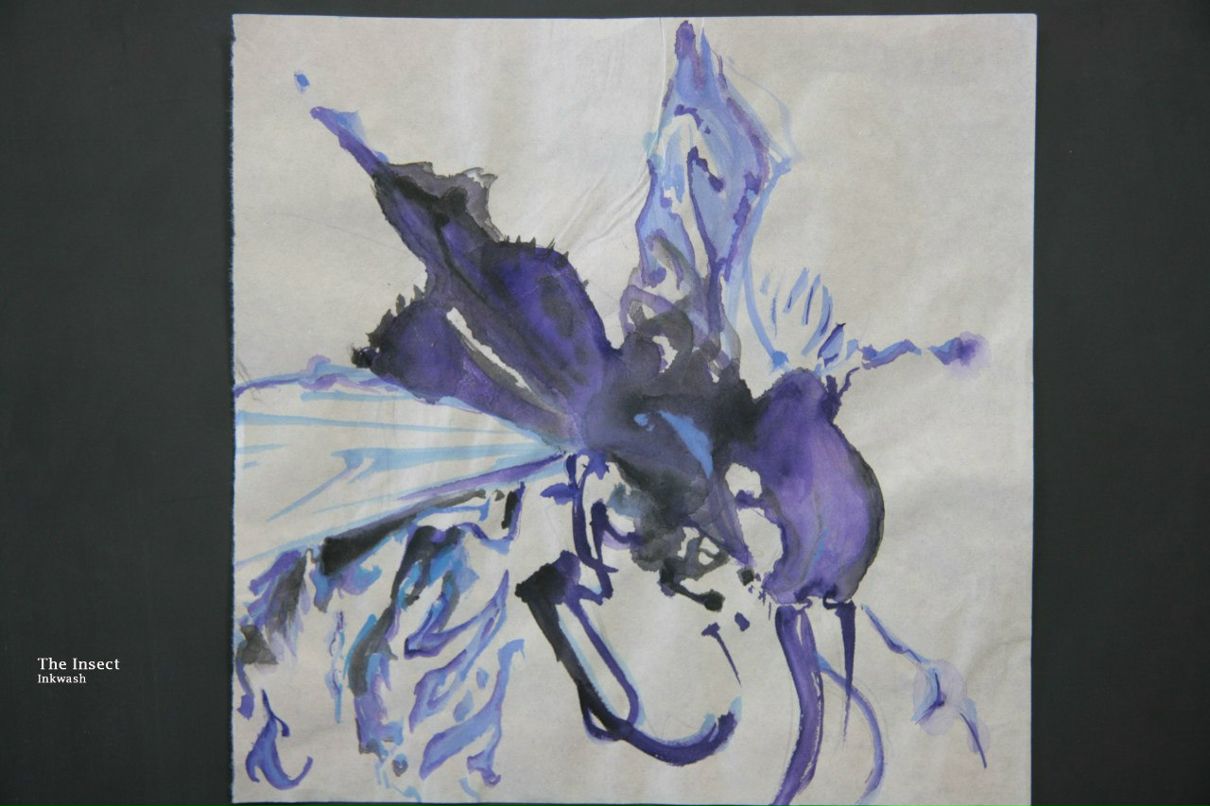 Anaya Chuu | Los Gatos