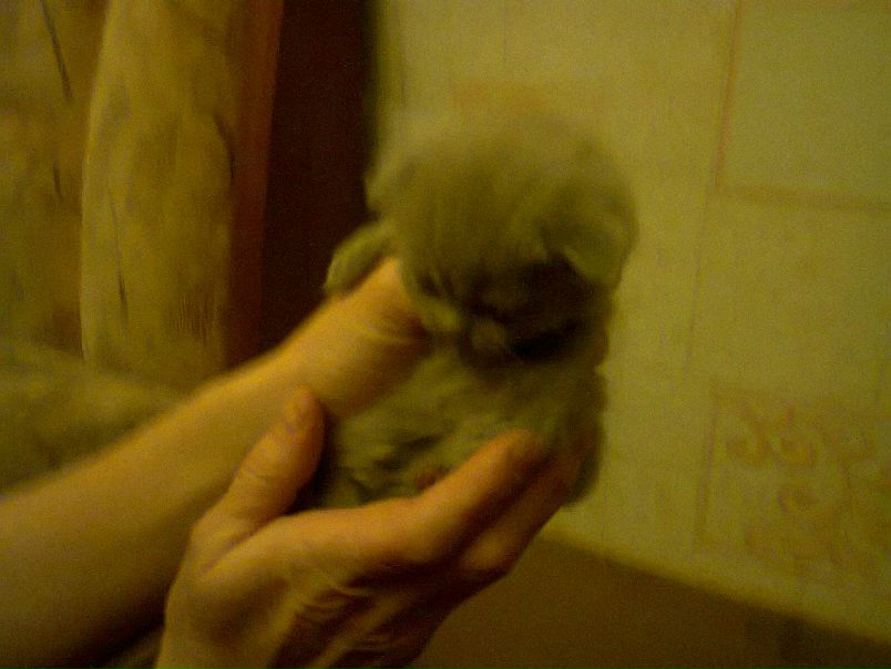 №101, Лена Сенаторова, Москва №101, Лена Сенаторова, Москва