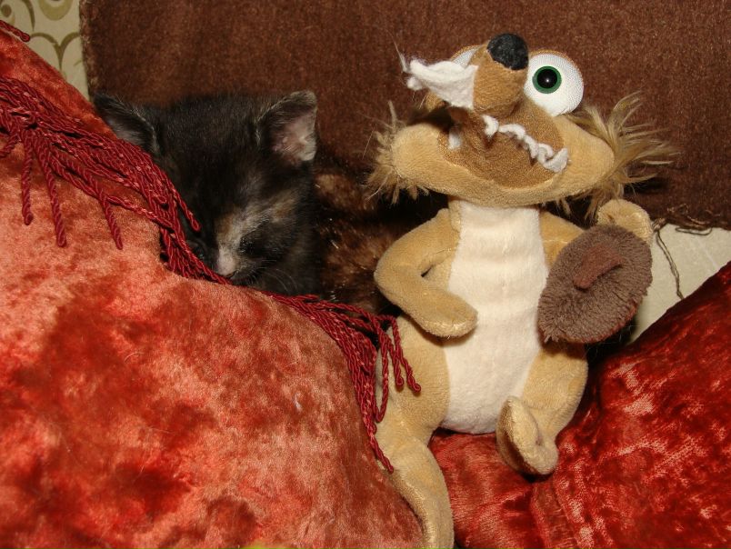 №102, Елена Васильева, 40 лет №102, Елена Васильева, 40 лет