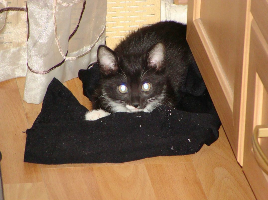 Александра Давыдова-Ларионова | Москва