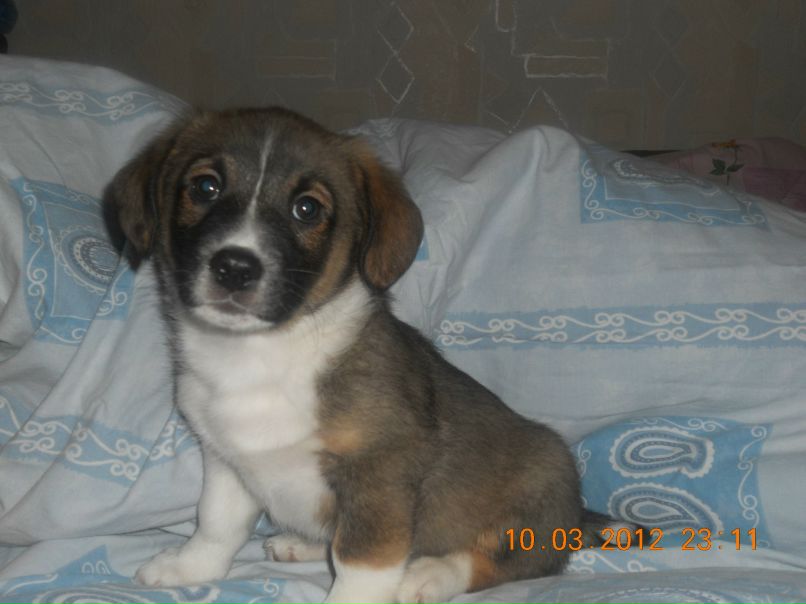 Наташа Марченко | Киев