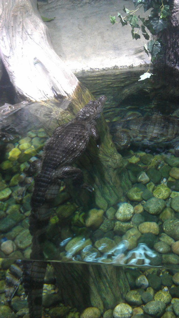 Константин Адонин | Белгород