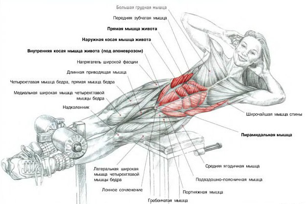 Наталия Лисенкова | Нижний Новгород