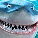 Женя Магда *SLR* | Днепр (Днепропетровск)