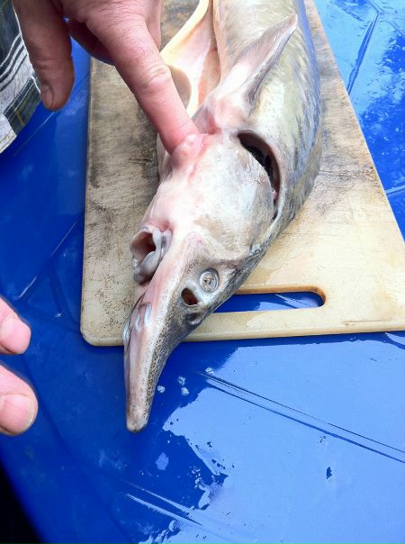 №3, Татьяна Цирульник, Санкт-Петербург №3, Татьяна Цирульник, Санкт-Петербург