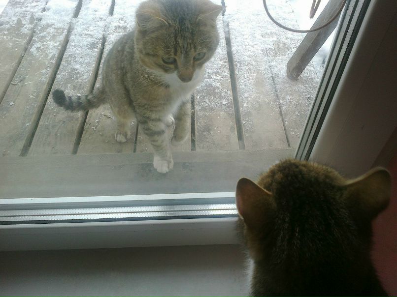 Марина Самборская | Wien