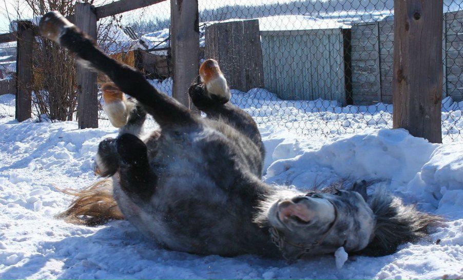 Елизавета Лапина | Братск