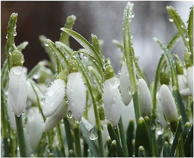 Татьяна Елатанцева | Санкт-Петербург