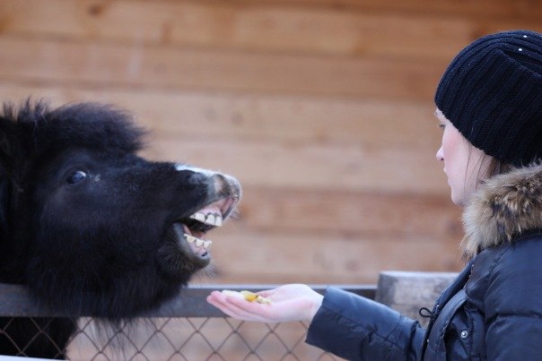 Кристина Лелюх | Кемерово