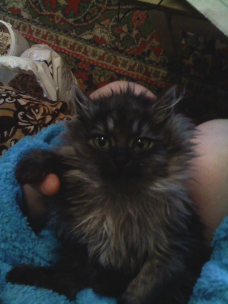 Ирусик Левицкая | Чернигов