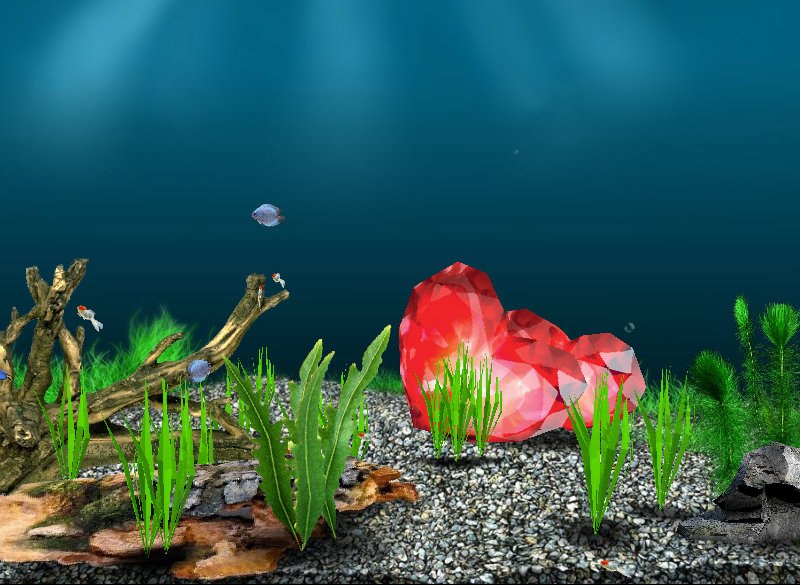 Дмитрий Фомин | Великий Новгород