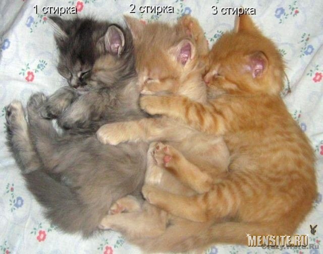 Юрий Кирякин | Мурманск