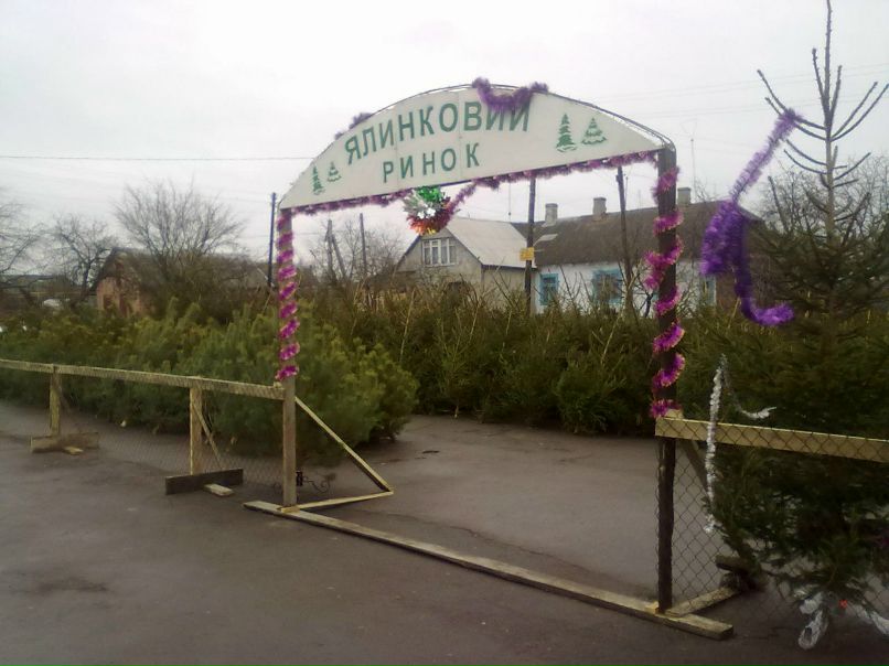 Олег Фірман | Владимир-Волынский