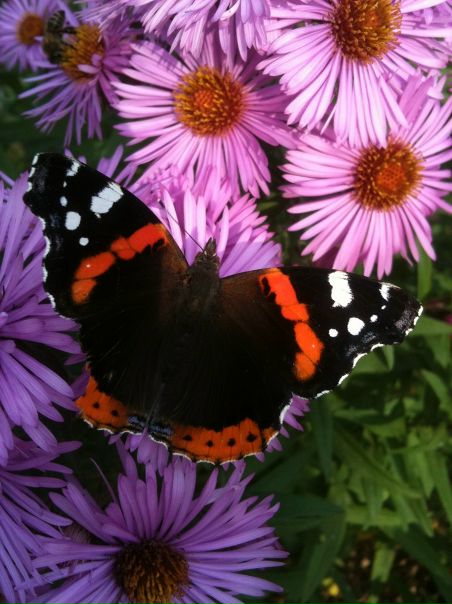 №111, Александр Костикин, 36 лет, Львов №111, Александр Костикин, 36 лет, Львов