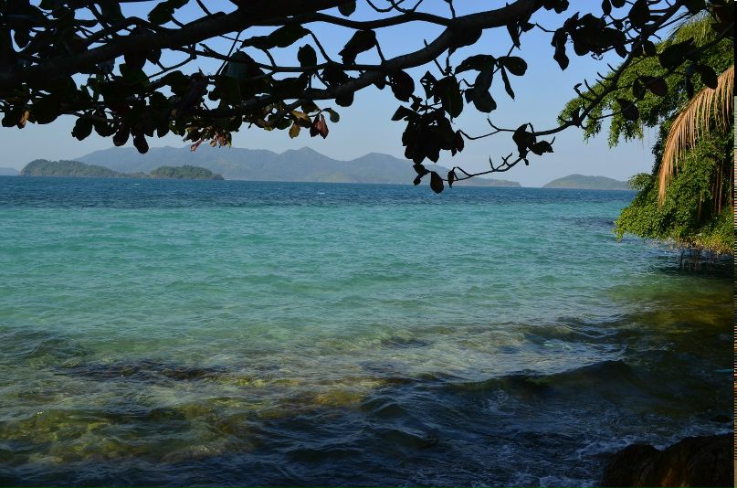 Антон Иванников | Волгоград