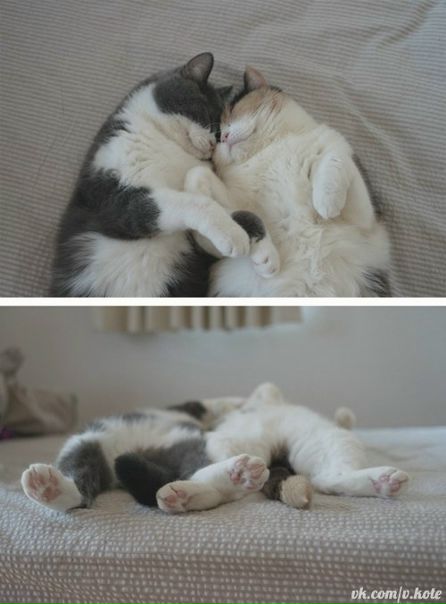 №162, Ольга Чумаченко №162, Ольга Чумаченко