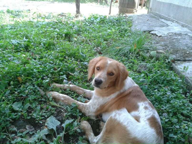 Ольга Смирнова | 