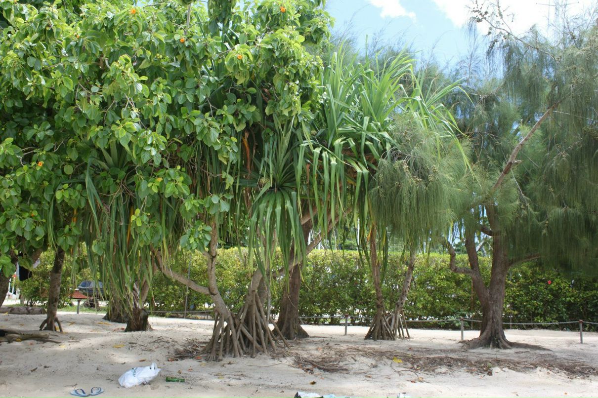 Наталия Stronger | Киев