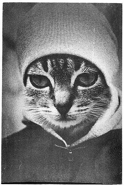 Юлия Йавсёскажу | Екатеринбург