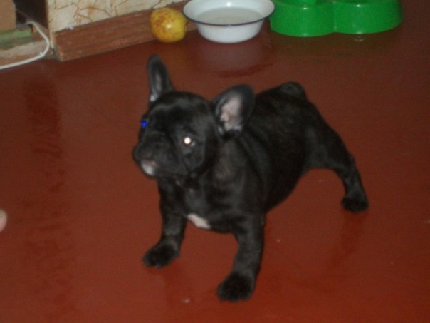 №12, Михаил Прохоров, 46 лет, Харьков №12, Михаил Прохоров, 46 лет, Харьков