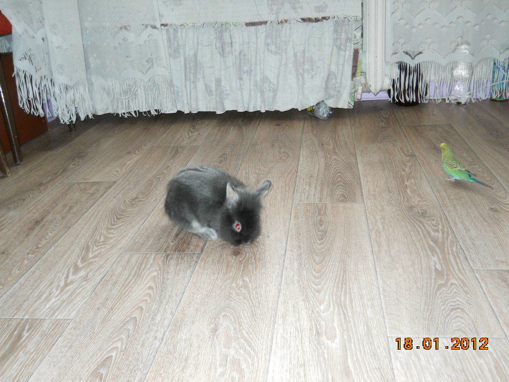 Анастасия Гладких ZigoCactus | Новосибирск