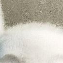 №20, Игорь Лозовский, Рыбница №20, Игорь Лозовский, Рыбница