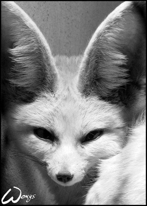 Ирина Кудинова | Санкт-Петербург