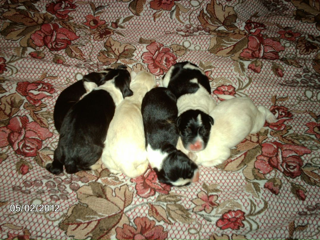 Павел Москалёв | Москва