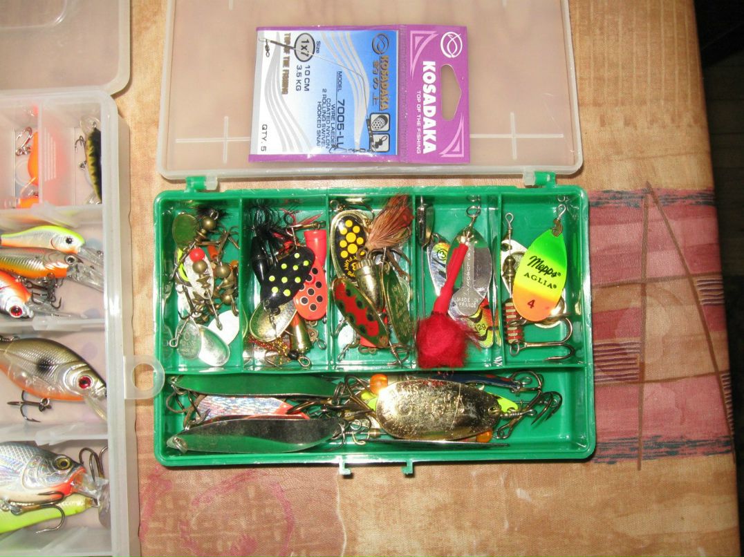 Алексей Гора | Санкт-Петербург