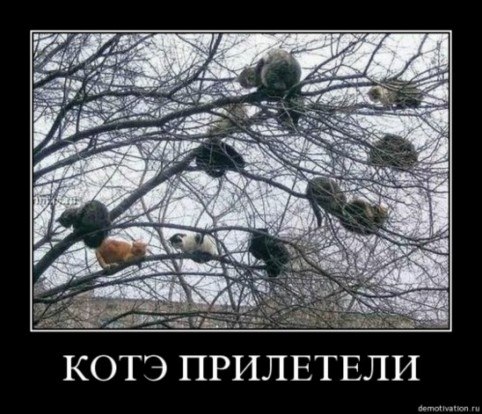 Сергей Викторович | Москва