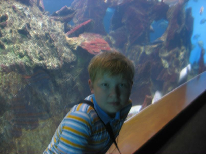 Денис Сизов | Нижний Новгород