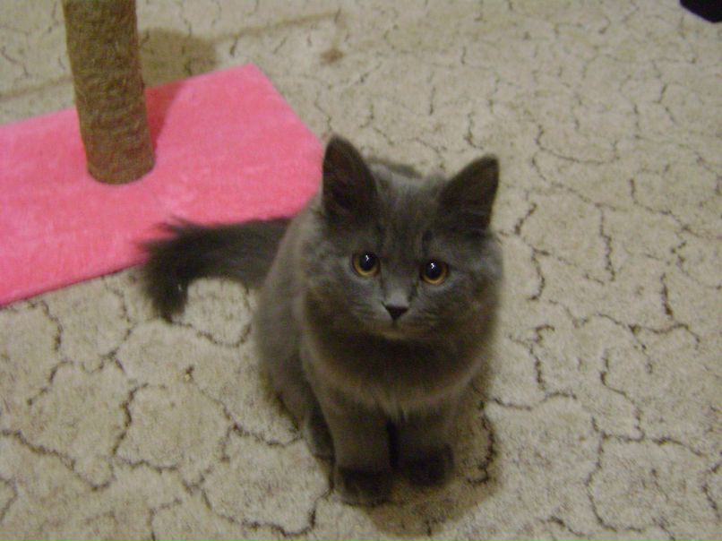 Игорь Пащенко | Харьков