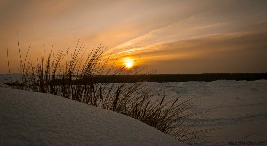 Максим Кравец | Минск