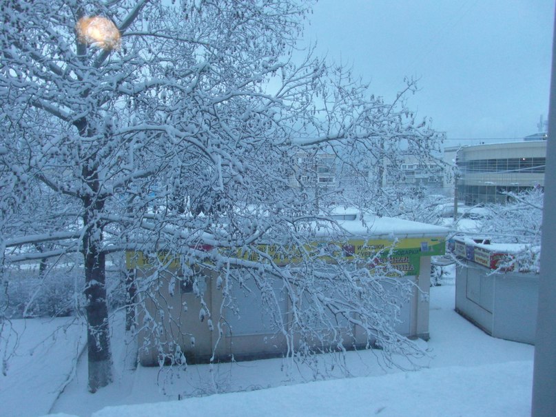 Олег Турчак | Севастополь