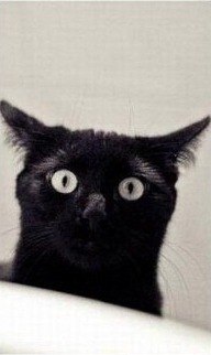 Владимир Амелин | Москва