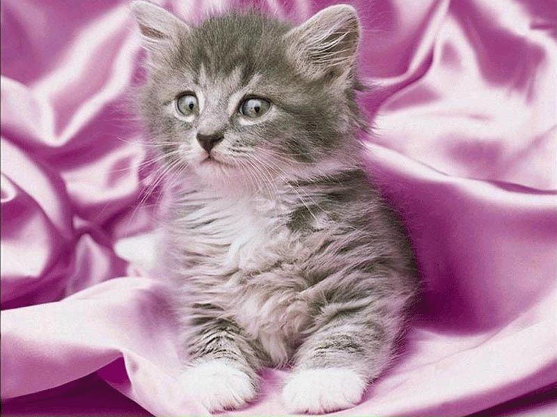 №30, Артур Валеев, 38 лет, Уфа №30, Артур Валеев, 38 лет, Уфа